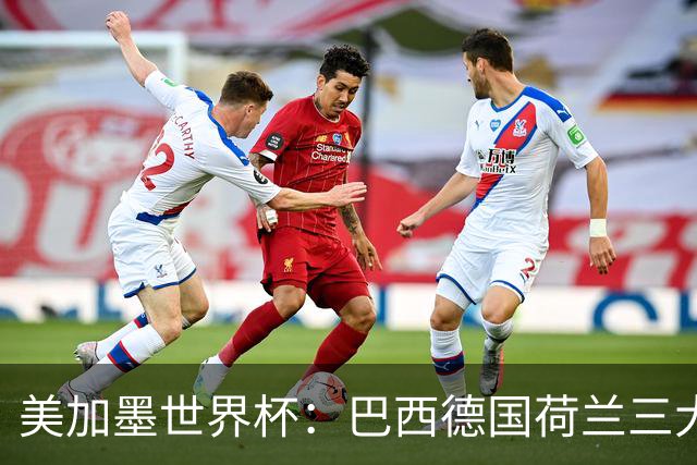 美加墨世界杯：巴西德国荷兰三大豪门将出战